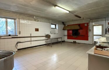 LABORATORIO C3 DI 125 MQ CON AL PIANO TERRA VILLA DI 164 MQ
