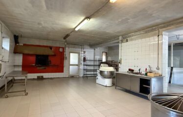 LABORATORIO C3 DI 125 MQ CON AL PIANO TERRA VILLA DI 164 MQ