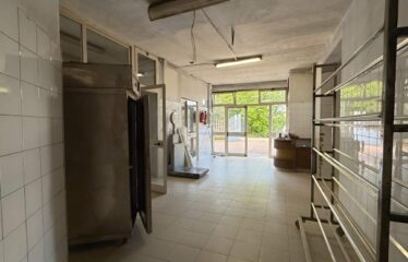 LABORATORIO C3 DI 125 MQ CON AL PIANO TERRA VILLA DI 164 MQ