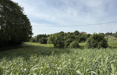 TERRENO EDIFICABILE DI 13.500 MQ, PROGETTO APPROVABILE PER 12 BIFAMILIARI