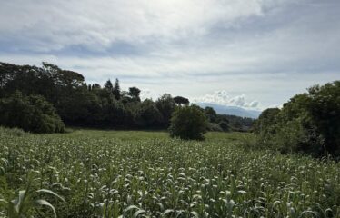 TERRENO EDIFICABILE DI 13.500 MQ, PROGETTO APPROVABILE PER 12 BIFAMILIARI