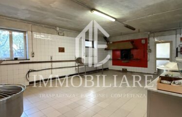 LABORATORIO C3 DI 125 MQ CON AL PIANO TERRA VILLA DI 164 MQ