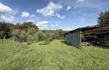 TERRENO EDIFICABILE DI 1.097 MQ IN POSIZIONE STRATEGICA