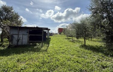 TERRENO EDIFICABILE DI 1.097 MQ IN POSIZIONE STRATEGICA